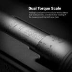 Dual scale