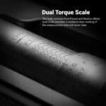 Dual scale